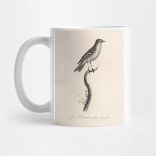 Female Ruby Kinglet Mug